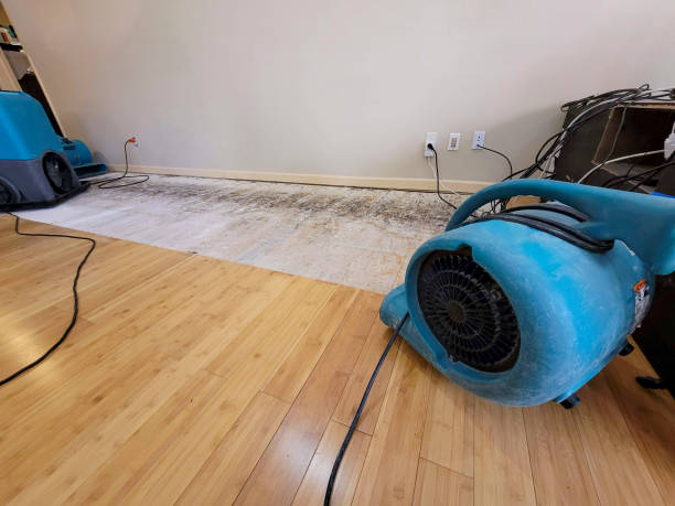 Professional Structural Drying technician working in Kerman, CA